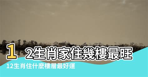 生肖 樓層|12生肖家住幾樓最旺運